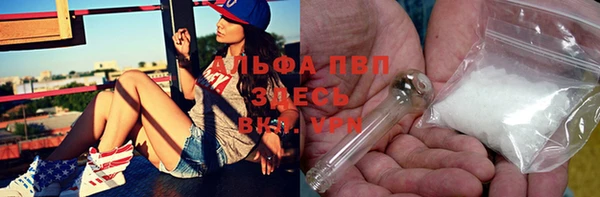ГАЛЛЮЦИНОГЕННЫЕ ГРИБЫ Лагань