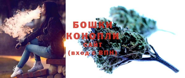 PSILOCYBIN Лабытнанги