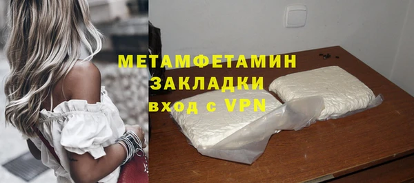 ГАЛЛЮЦИНОГЕННЫЕ ГРИБЫ Лагань
