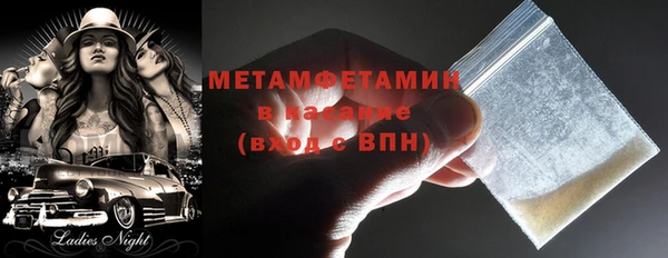 ГАЛЛЮЦИНОГЕННЫЕ ГРИБЫ Лагань