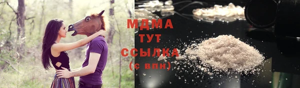 PSILOCYBIN Лабытнанги