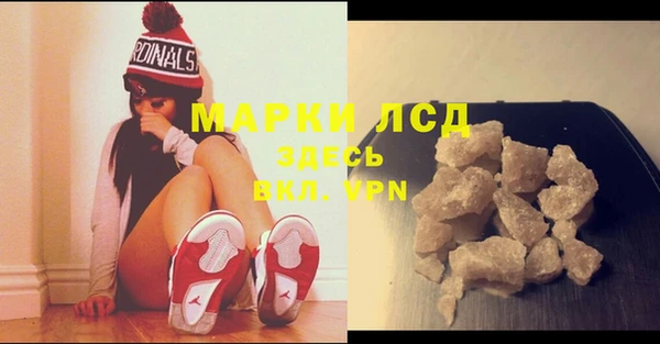 ГАЛЛЮЦИНОГЕННЫЕ ГРИБЫ Лагань