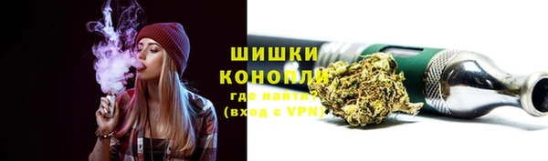 ГАЛЛЮЦИНОГЕННЫЕ ГРИБЫ Лагань