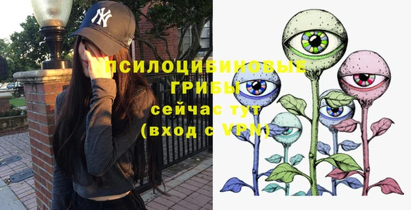 ГАЛЛЮЦИНОГЕННЫЕ ГРИБЫ Лагань