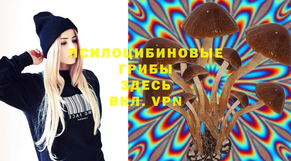 PSILOCYBIN Лабытнанги