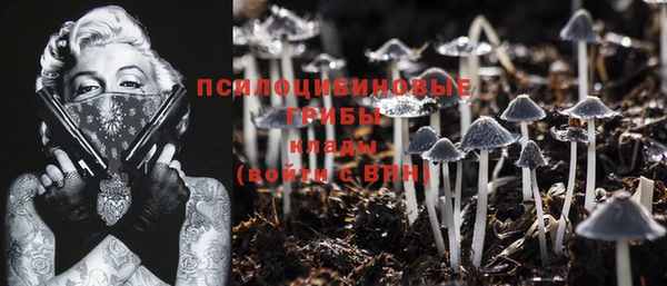 PSILOCYBIN Лабытнанги