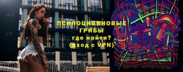 ГАЛЛЮЦИНОГЕННЫЕ ГРИБЫ Лагань