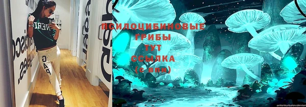 PSILOCYBIN Лабытнанги