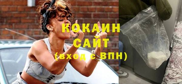 ГАЛЛЮЦИНОГЕННЫЕ ГРИБЫ Лагань