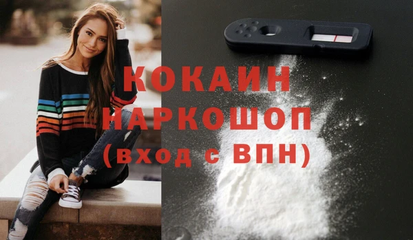 ГАЛЛЮЦИНОГЕННЫЕ ГРИБЫ Лагань