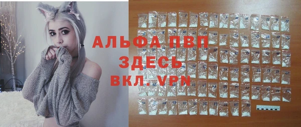ГАЛЛЮЦИНОГЕННЫЕ ГРИБЫ Лагань