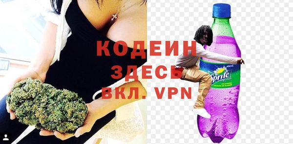ГАЛЛЮЦИНОГЕННЫЕ ГРИБЫ Лагань