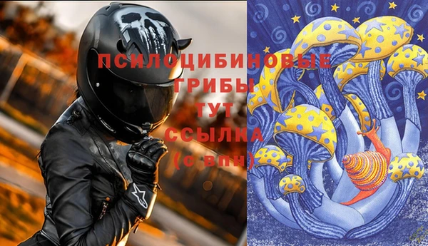 PSILOCYBIN Лабытнанги