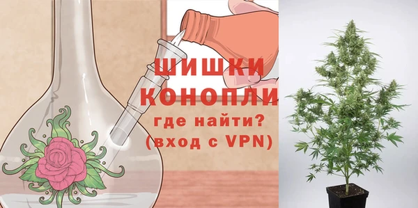 PSILOCYBIN Лабытнанги