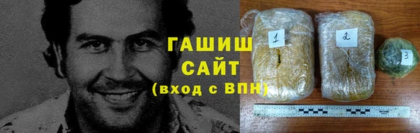 ГАЛЛЮЦИНОГЕННЫЕ ГРИБЫ Лагань